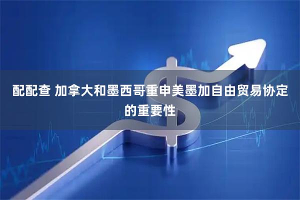 配配查 加拿大和墨西哥重申美墨加自由贸易协定的重要性