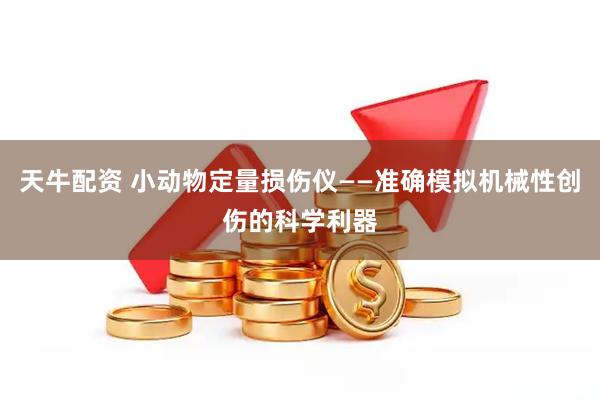 天牛配资 小动物定量损伤仪——准确模拟机械性创伤的科学利器