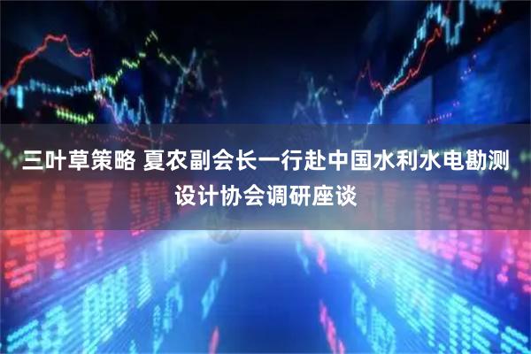 三叶草策略 夏农副会长一行赴中国水利水电勘测设计协会调研座谈