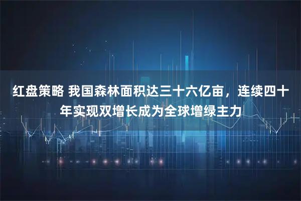 红盘策略 我国森林面积达三十六亿亩，连续四十年实现双增长成为全球增绿主力