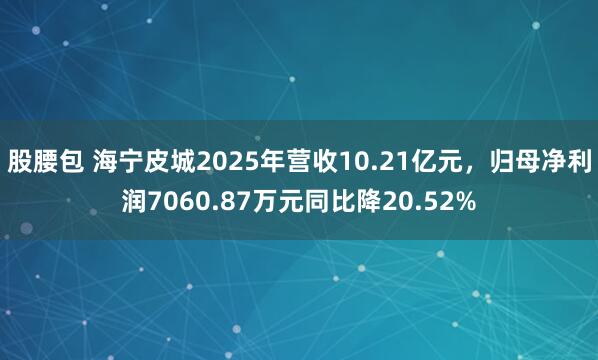 股腰包 海宁皮城2025年营收10.21亿元,归母净利润7060.87万元同比降20.52%
