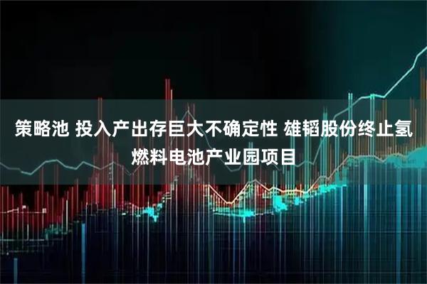 策略池 投入产出存巨大不确定性 雄韬股份终止氢燃料电池产业园项目