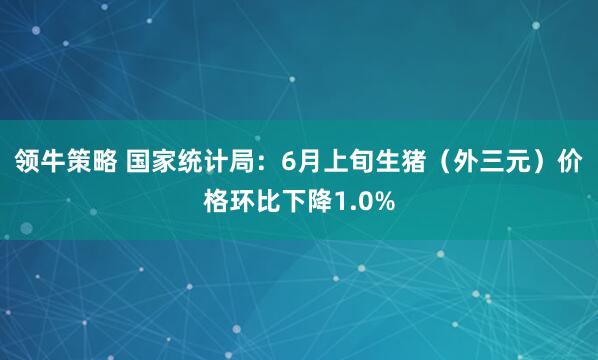 领牛策略 国家统计局：6月上旬生猪（外三元）价格环比下降1.0%