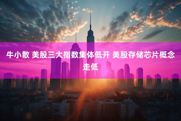 牛小散 美股三大指数集体低开 美股存储芯片概念走低