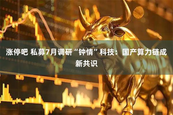 涨停吧 私募7月调研“钟情”科技：国产算力链成新共识