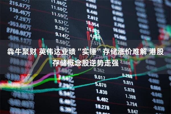 犇牛聚财 英伟达业绩“实锤”存储涨价难解 港股存储概念股逆势走强
